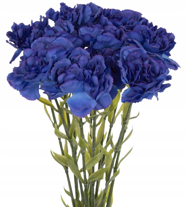 12X GOŹDZIK GAŁĄZKA BLUE VIOLET NIEBIESKI FIOLETOWY 67 CM