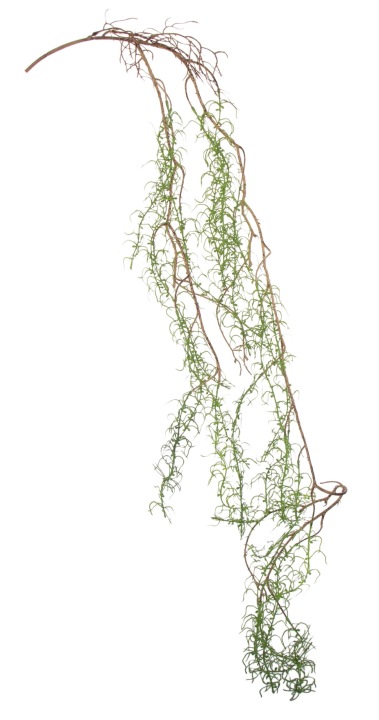 Asparagus Zwis Pnącze 134 Cm Kwiaty Sztuczne