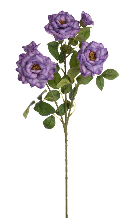 Dzika Róża Gałązka Fioletowa Violet 82 Cm