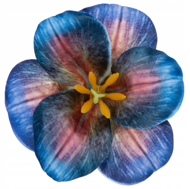 12X Magnolia Blue Główka Wyrobowa