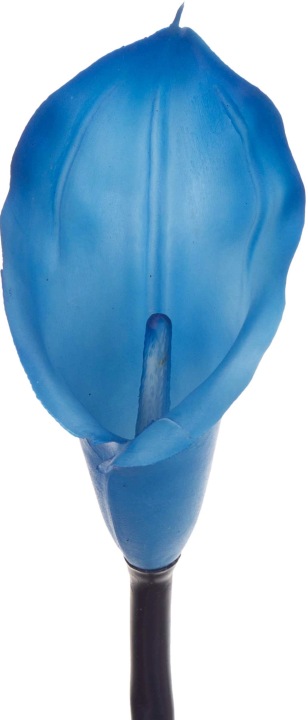 Kalia Gumowa Saphire Niebieska 71 Cm