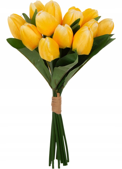 12X Tulipan Żółty Wiązka Tulipanów Materiał Wiosna