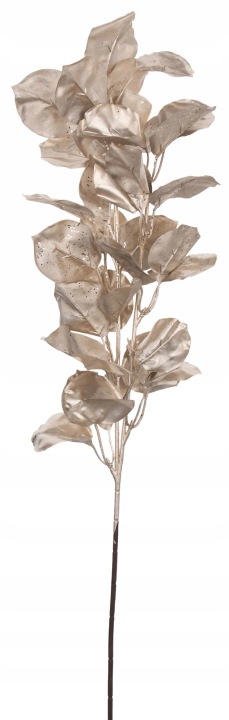 Gałązka Szampańska Liściasta 68 Cm