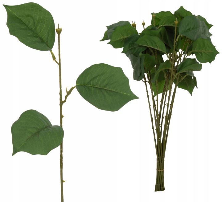 12X ŁODYGA POINSECJA 55 CM