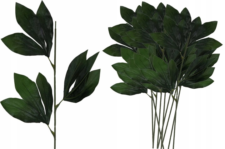 Łodyga Do Kwiatów Peonia 12 Szt. 59 Cm