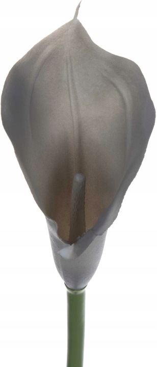 Kalia Gumowa Grey Szara 71 Cm