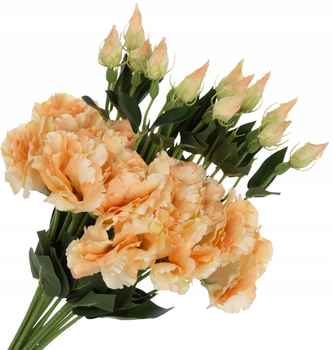 12X EUSTOMA LT PEACH BRZOSKWINIOWA GAŁĄZKA 48 CM