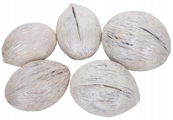 5X Mintola Perłowa Ball Pearl Susz