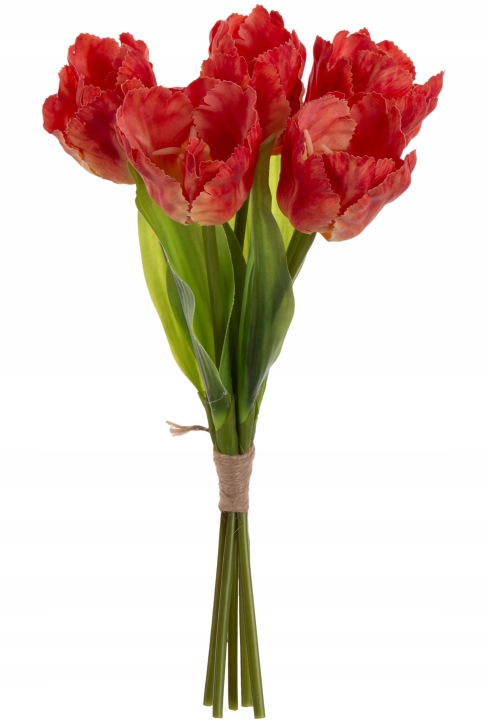 5X TULIPAN ORANGE POMARAŃCZOWY BUKIET TULIPANÓW 35 CM