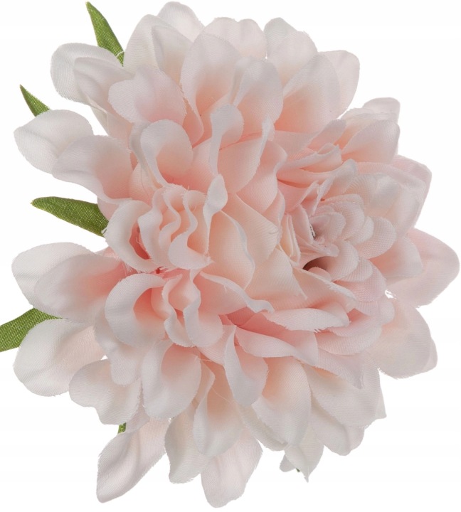Dalia Główka Wyrobowa J. Róż Powder Pink 12 Szt.