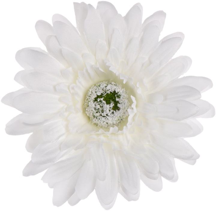 24 Szt. Gerbera White Biała Główka Wyrobowa