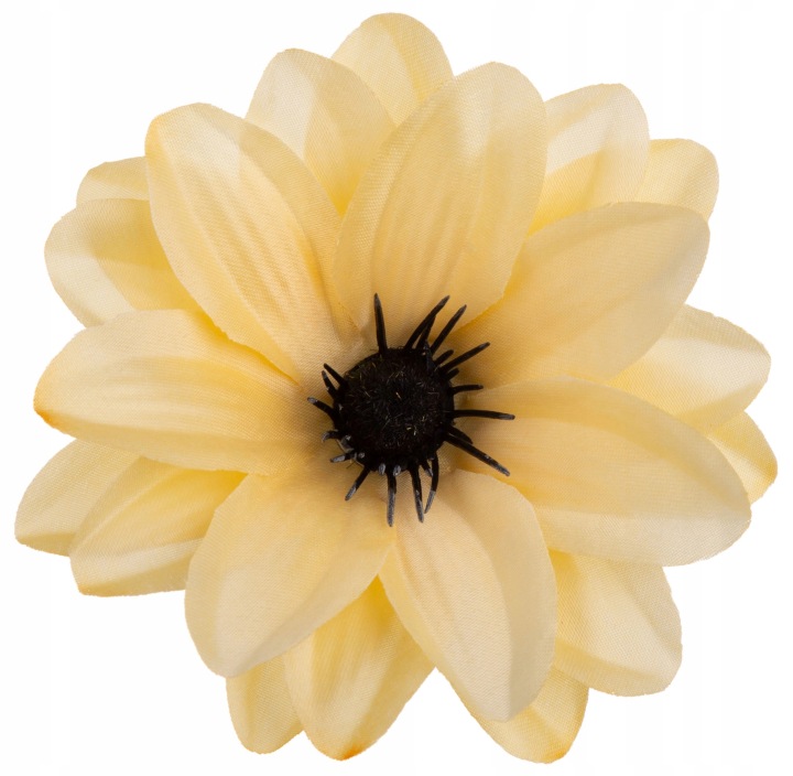 Dalia Główka Wyrobowa Lemon 12 Szt.
