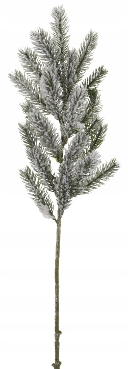 Świerk Ośnieżona Choinka Gałązka Iglasta Do Kompozycji Dodatek 60 Cm