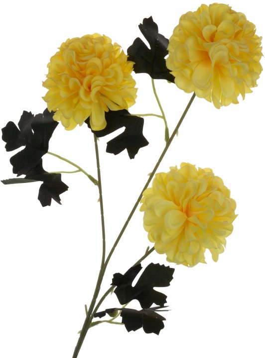 Dalia Pomponowa Żółta 66 Cm Gałazka
