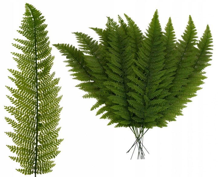 12X Liść Liście Sztuczne Paproć 55 Cm Kwiaty Sztuczne