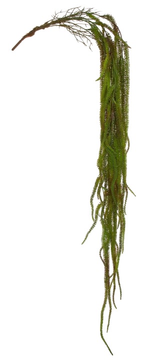 Widłak Zielony Gałązka Ozdobna Dekoracyjna 132 Cm Zwis
