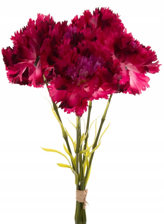 Goździk Beauty Bukiet 5 Kwiatów 51 Cm