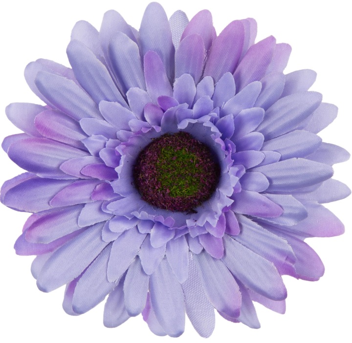 24 Szt. Gerbera Blue Violet Niebieska Fioletowa Główka Wyrobowa