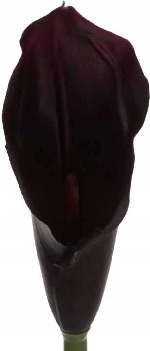 Kalia Gumowa Eggplant Bakłażan Gałązka 71 Cm