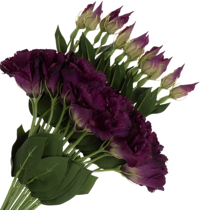 12X EUSTOMA EGGPLANT FIOLETOWA GAŁAZKA 48 CM