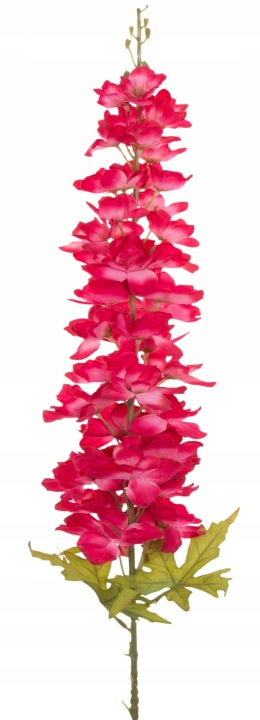 Ostróżka Ciemny Róż Gałązka 118 Cm