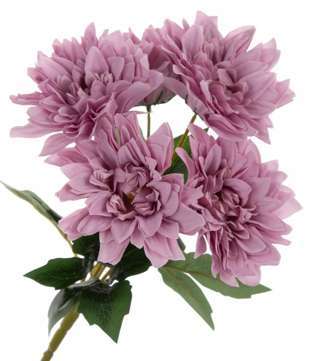 Dalia Jasny Fiolet Bukiet 5 Kwiatów 40 Cm