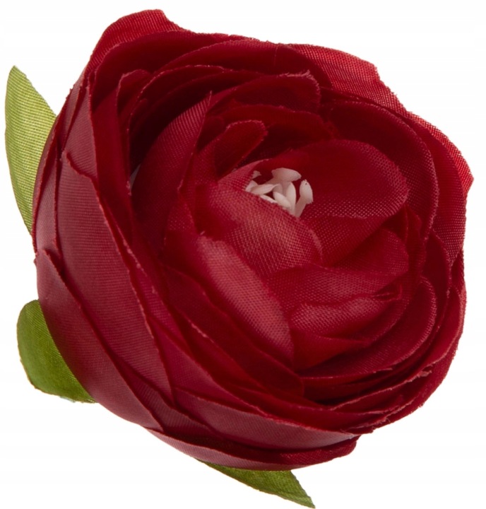 48X Jaskier Pełnik Bordo Ranunculus Główka Wyrobowa