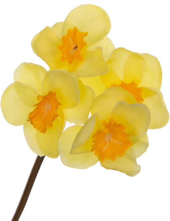 Żonkil Żółty 40 Cm Wiosna Wielkanoc