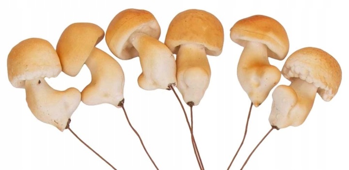 6X Grzyb Grzybek Dekoracja Jesienna