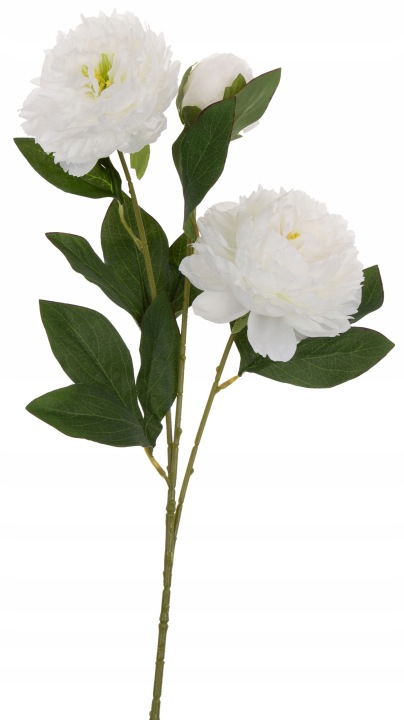 Peonia Piwonia Biała Gałązka 74 Cm Kwiaty Sztuczne
