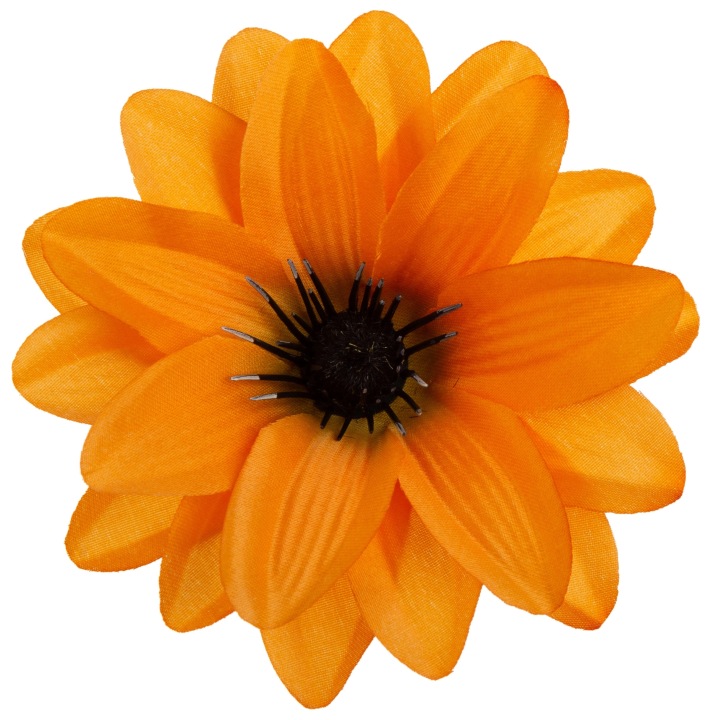 Dalia Główka Wyrobowa Dk Orange 12 Szt.