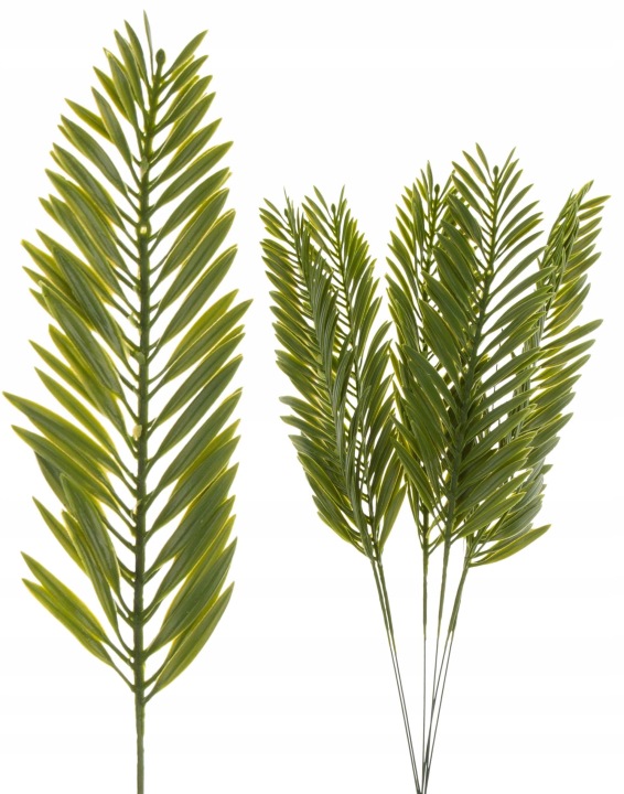 6X Liść Liście Palmy Palma Gałązka Do Kompozycji 38 Cm