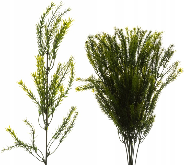 12x ASPARAGUS GAŁĄZKA DODATEK KWIATY SZTUCZNE