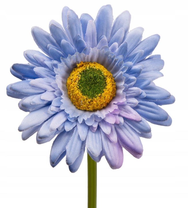 Gerbera J. Niebieska Łodygowa 46 Cm