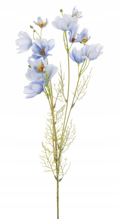 Kosmos Niebieski Gałązka 88 Cm