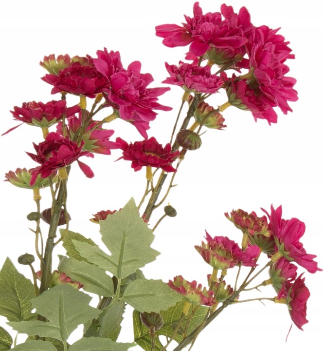 Chryzantema Margaretka Dąbek Pink Róż Gałązka 76 Cm