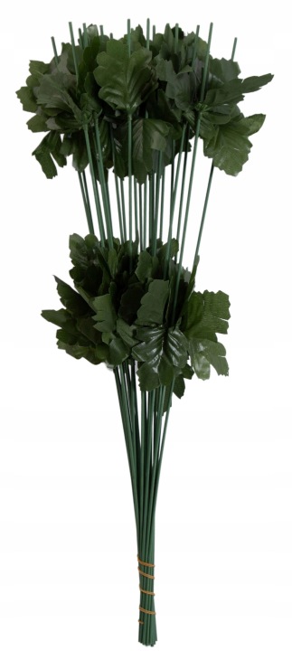 24X Łodyga Uniwersalna 46 Cm
