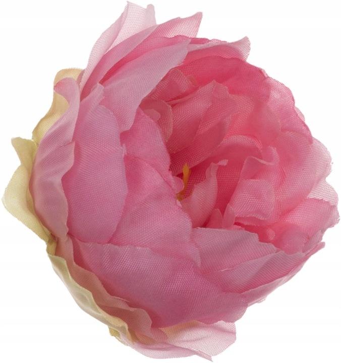 24X Peonia Pełnik Jaskier Główka Wyrobowa Różowa