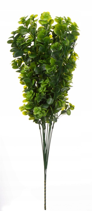 Eukaliptus Dodatek Sztuczny 12X 55 Cm