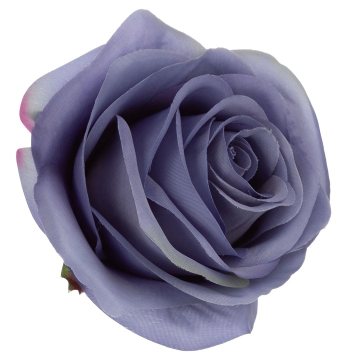 Róża Wyrobowa Niebieska Pearl Blue 12 Szt Główka Kwiatowa