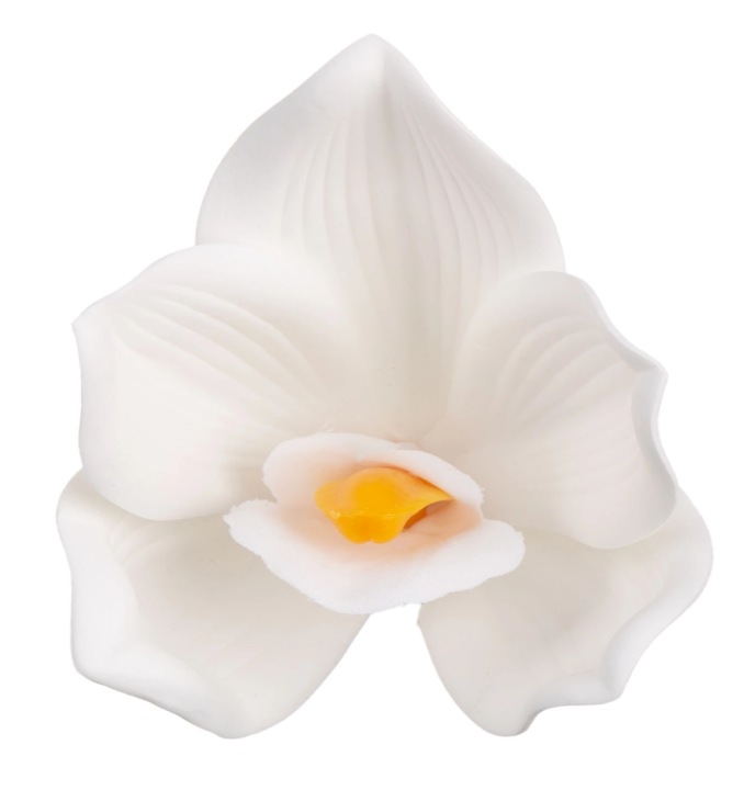 12 SZT. STORCZYK CYMBIDIUM WHITE BIAŁY GŁÓWKA WYROBOWA PIANKA