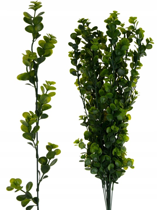 Bukszpan Dodatek Sztuczny 12X 55 Cm
