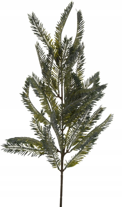 Świerk Grey/Green Iglak Gałązka Do Kompozycji Dodatek