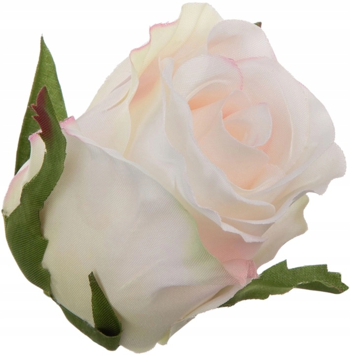 Róża Wyrobowa Cream Powder Pink 24 Szt Główka Kwiatowa