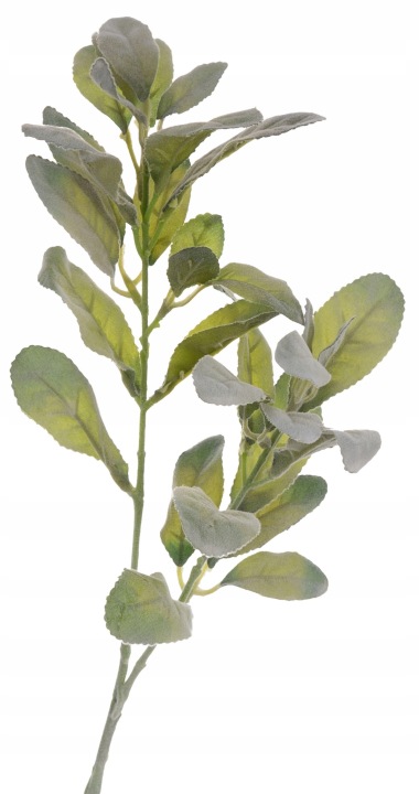 Starzec Gałązka Powder Green Flokowana Ozdobna