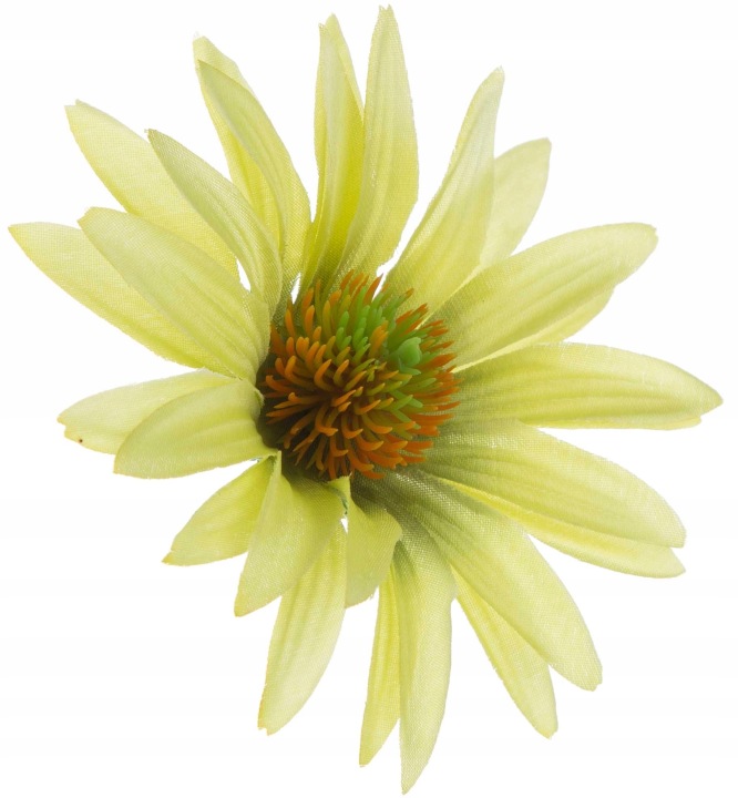 Aster Pistacja Rudbekia Jeżówka Główka Wyrobowa