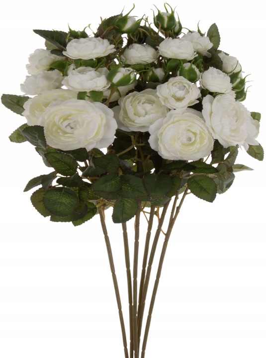 Dzika Róża Krem Bukiet 6 Gałązek 50 Cm Cream