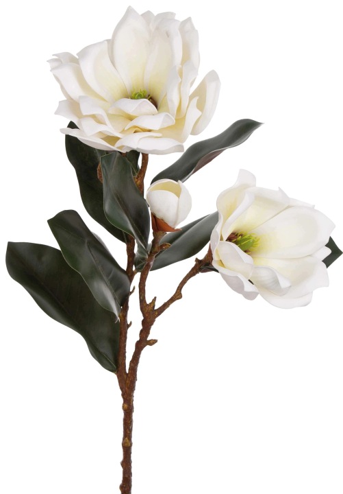 Magnolia Pianka Krem Gałązka 74 Cm