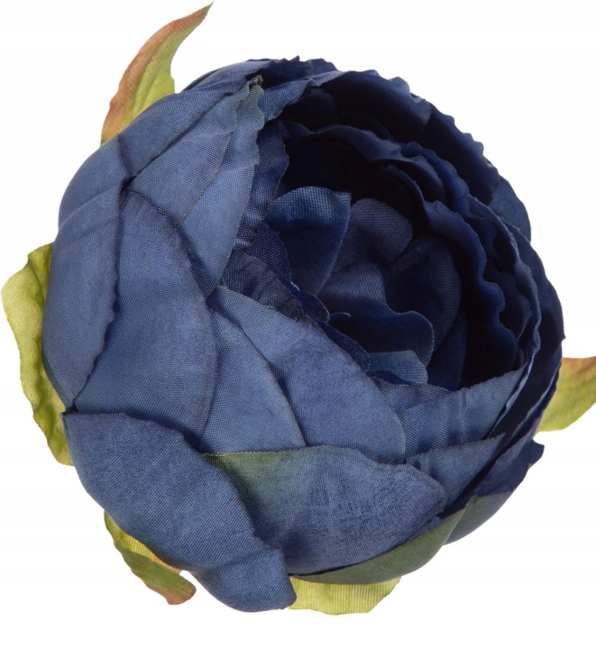 12X Peonia Piwonia Autum Blue Jesienny Niebieski Główka Wyrobowa