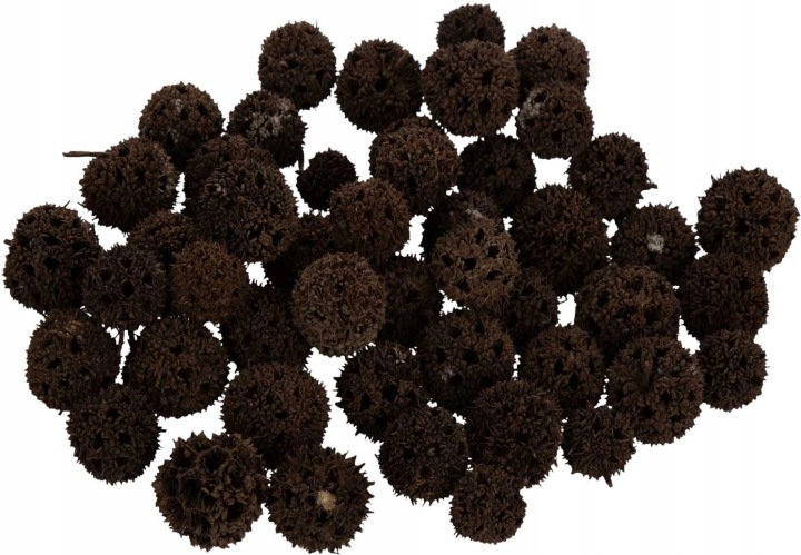 125X Susz Naturalny Egzotyczny